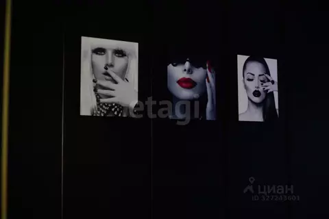 Офис в Ямало-Ненецкий АО, Муравленко ул. Ленина, 88 (21 м)