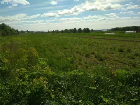 Участок в Волосовский район, Рабитицкое сельское поселение, деревня ...