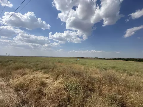 Участок в Крым, Симферопольский район, Донское с/пос  (1.2 га.)