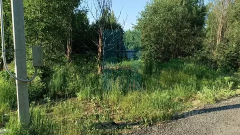 Участок в Московская область, Чехов муниципальный округ, д. Солнышково ...