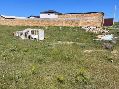 Участок в Крым, Черноморский район, с. Межводное ул. Дружбы (10.0 ...