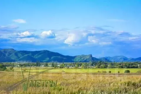 Участок в Приморский край, Пограничный пгт  (45430.0 сот.)