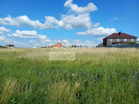 Участок в Курская область, Курский район, Новопоселеновский сельсовет, ...