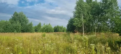 Участок в Московская область, Павлово-Посадский городской округ, д. ...