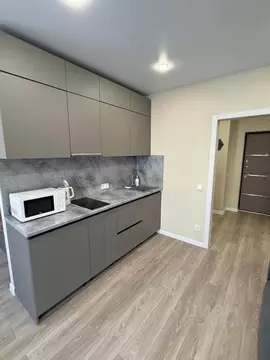 1-к кв. Краснодарский край, Сочи ул. Искры, 88к2 (30.6 м)