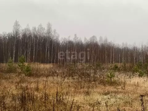 Участок в Татарстан, Пестречинский район, Шигалеевское с/пос, с. Новое ...