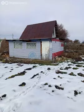 Участок в Новосибирская область, Бердск (6 м)