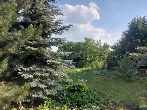 Участок в Воронежская область, Новоусманский район, пос. Отрадное  ...