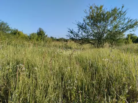 Участок в Белгородская область, Корочанский район, Мелиховское с/пос, ...