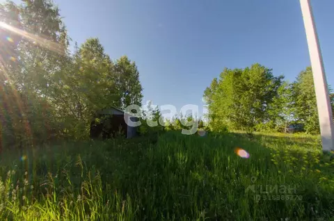 Участок в Курганская область, Шадринский муниципальный округ, с. ...