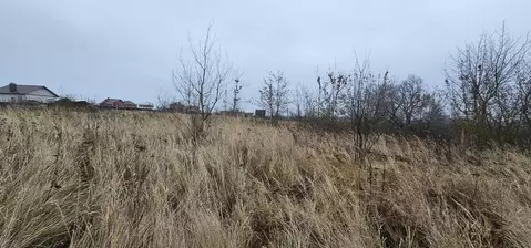 Участок в Московская область, Луховицы муниципальный округ, пос. ...