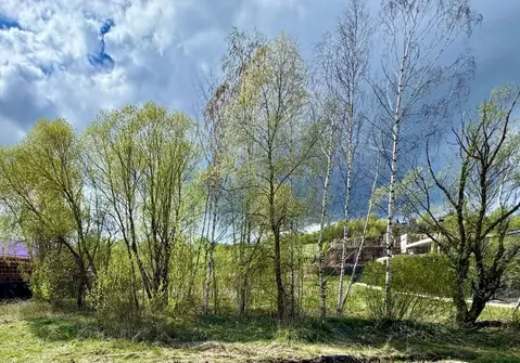 Участок в Московская область, Красногорск городской округ, д. ...