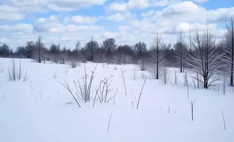 Участок в Тульская область, Тула городской округ, с. Частое ул. Ясная ...