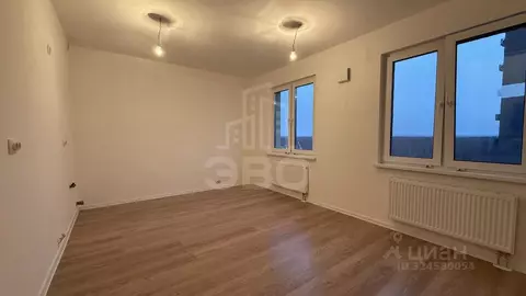 Студия Ленинградская область, Всеволожское городское поселение, пос. ...