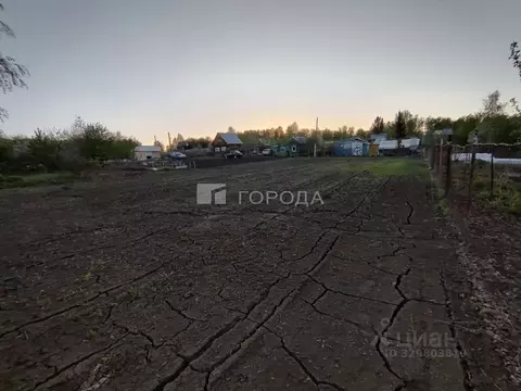 Участок в Алтайский край, Павловский район, Ясное СНТ  (6.89 сот.)