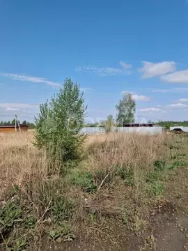 Участок в Тюменская область, Тюмень Садовое товарищество Липовый ...