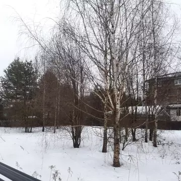 Участок в Московская область, Истра муниципальный округ, д. Красный ...