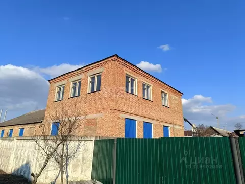 Помещение свободного назначения в Белгородская область, Вейделевка рп ...