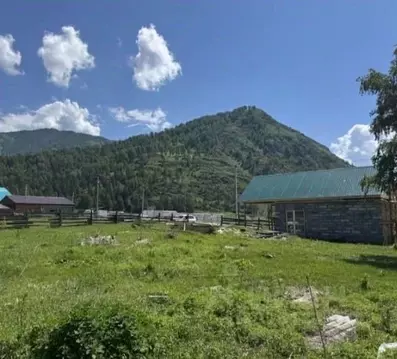 Участок в Алтай, Чемальский район, с. Чемал ул. Пчелкина (12.0 сот.)