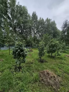 Участок в Свердловская область, Екатеринбург Цветмет СНТ,  (11.9 сот.)