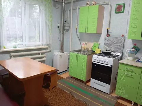 Дом в Алтайский край, Тальменский район, с. Новоперуново Набережная ...