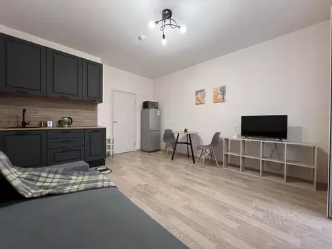 Студия Ленинградская область, Мурино Всеволожский район, ул. Шоссе в ...