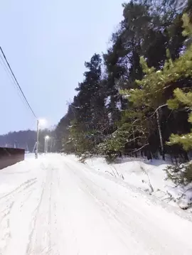 Участок в Москва № 117 кв-л,  (8.01 сот.)