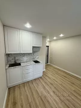 Студия Самарская область, Самара Черемшанская ул., 162 (18.8 м)