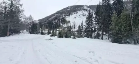 Участок в Алтай, Улаганский район, с. Акташ  (15.0 сот.)