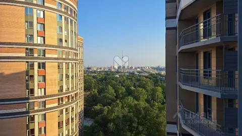 2-к кв. Санкт-Петербург Коломяжский просп., 11 (69.5 м)