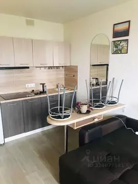 Студия Московская область, Мытищи ул. Кедрина, 3 (25.0 м)