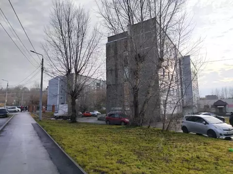 Студия Красноярский край, Красноярск ул. Шевченко, 68 (12.2 м)