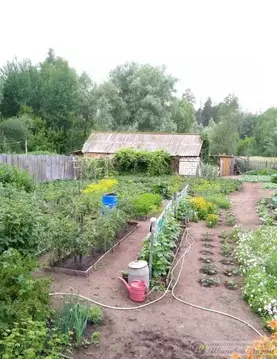 Дом в Самарская область, Борский район, с. Коноваловка Октябрьский ...