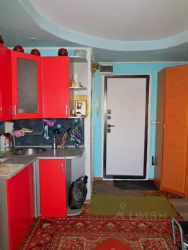 1-к кв. Омская область, Омск Городок Нефтяников мкр, ул. 22 Апреля, 24 ...