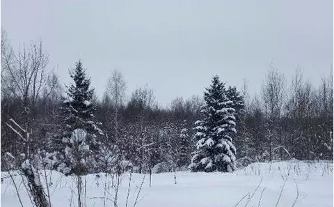 Участок в Московская область, Дмитровский муниципальный округ, д. ...