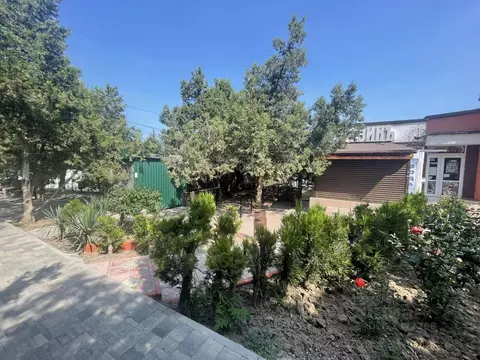 Участок в Крым, Судак муниципальный округ, Новый Свет пгт ул. Шаляпина ...