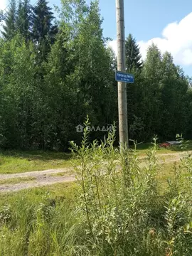 Участок в Коми, Сыктывдинский район, с. Выльгорт, Речник СТ  (10.0 ...