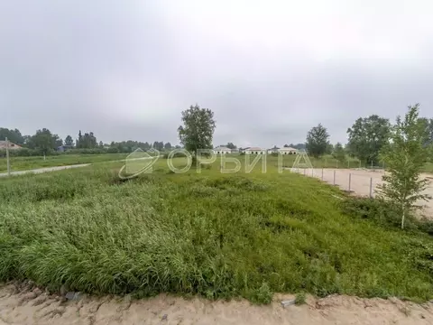 Участок в Тюменская область, Тюмень СОСН Изыскатель тер., ул. Вишневая ...