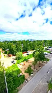 3-к кв. Архангельская область, Архангельск Холмогорская ул., 16 (61.3 ...