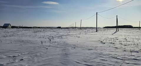 Участок в Московская область, Луховицы  (30.0 сот.)