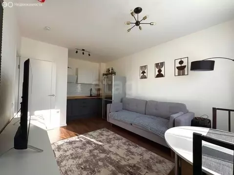 1-комнатная квартира: Санкт-Петербург, Пейзажная улица, 30 (30.3 м)