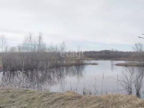 Участок в Ярославская область, Ярославский муниципальный округ, д. ...