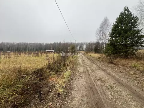 Участок в Владимирская область, Судогодский район, с. Чамерево  (15.0 ...