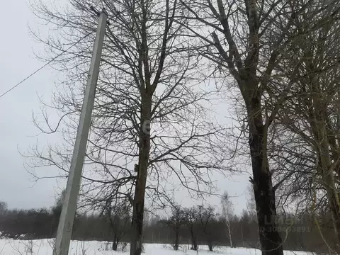 Участок в Псковская область, Островский район, Воронцовская волость, ...