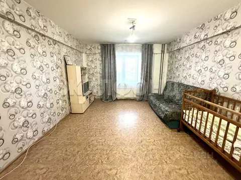 Студия Иркутская область, Иркутск ул. Летописца Нита Романова, 15 ...