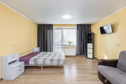 Студия Челябинская область, Челябинск Университетская Набережная ул., ...