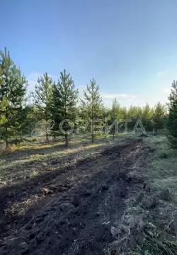 Участок в Тюменская область, Тюменский муниципальный округ, с. Успенка ...