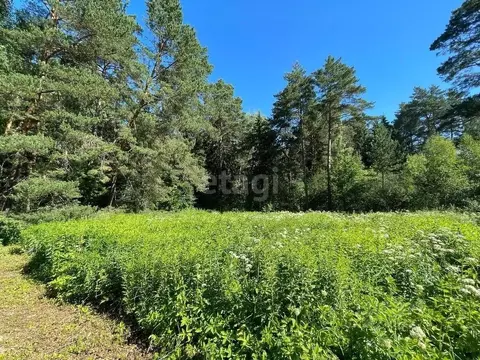 Участок в Калужская область, Жуковский район, Тарутино с/пос, Ветеран ...