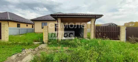 Дом в Омская область, Омский район, с. Пушкино ул. Луговая (168 м)