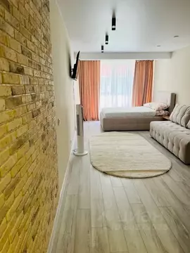 Студия Нижегородская область, с. Дивеево ул. Симанина, 4 (32.0 м)